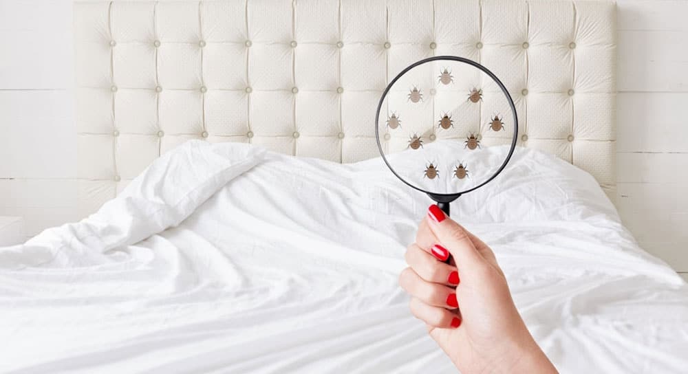 Mejor colchón antialérigicos y antiácaros Mejor colchón antialérgico