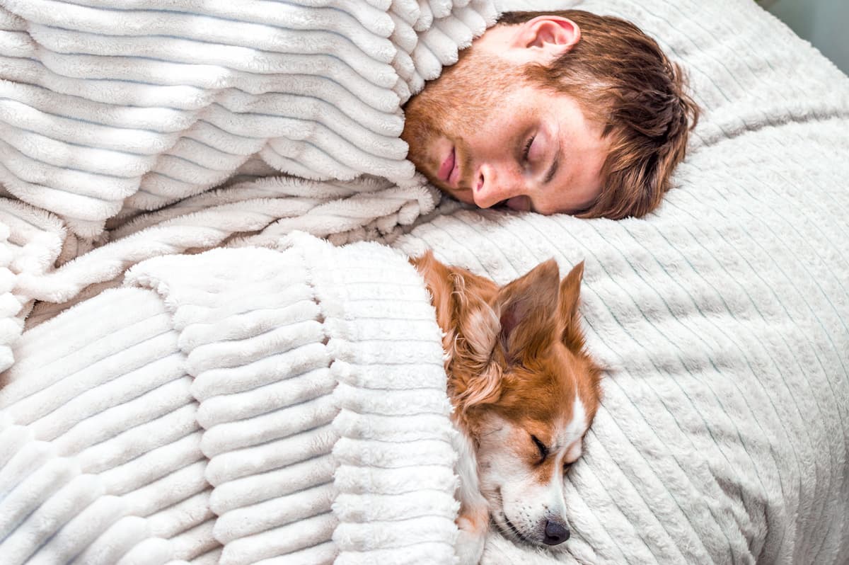 dormir con perros es malo